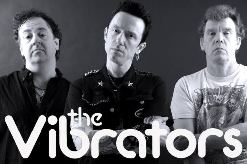 Photo von The Vibrators