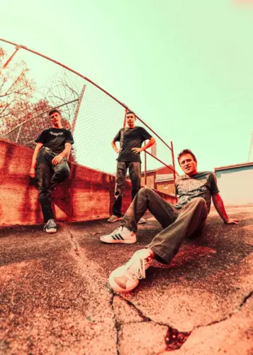 Photo von SILLY GOOSE