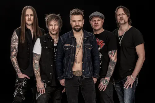 Photo von THE NEW ROSES